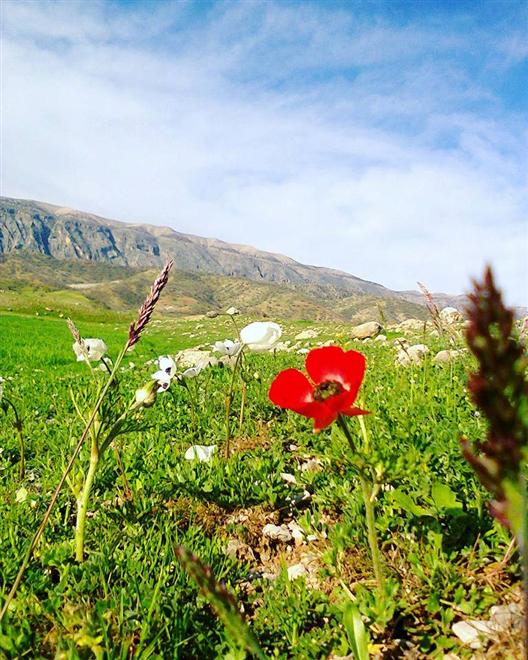 تصاویر دیدنی از ایلام